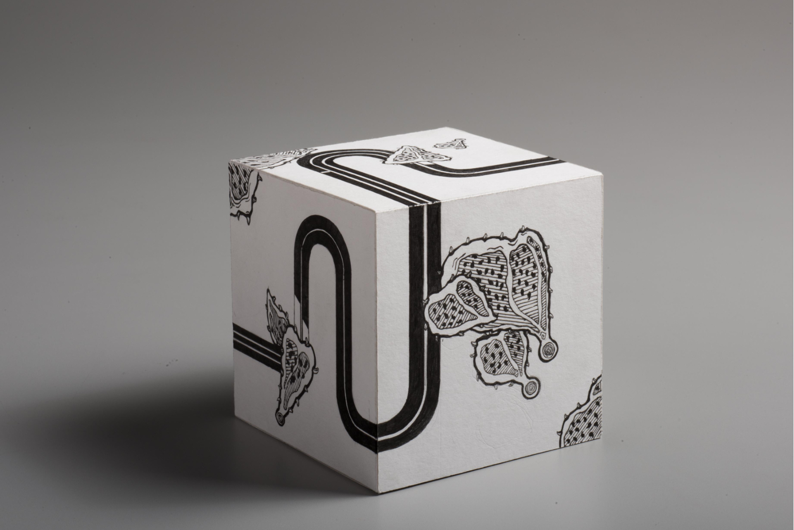 Biomimicry Boxes – Hank Lin